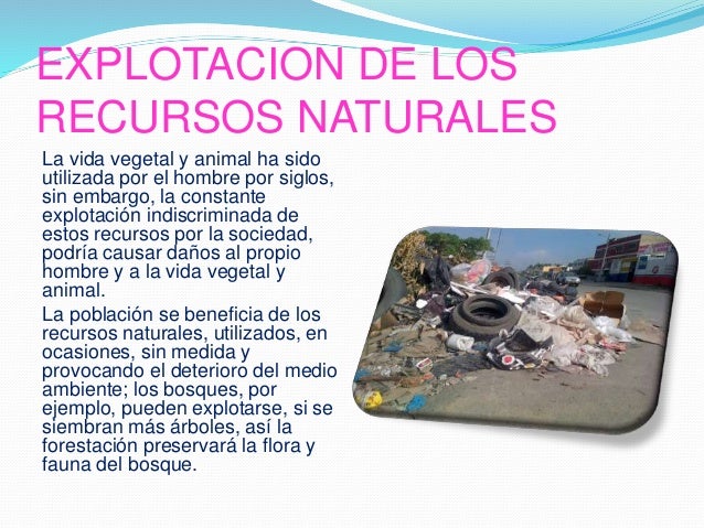 EXPLOTACION DE LOS RECURSOS NATURALES 11-1