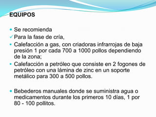 EQUIPOS
 Se recomienda
Para la fase de cría,
 Calefacción a gas, con criadoras infrarrojas de baja
presión 1 por cada 700 a 1000 pollos dependiendo
de la zona;
 Calefacción a petróleo que consiste en 2 fogones de
petróleo con una lámina de zinc en un soporte
metálico para 300 a 500 pollos.
 Bebederos manuales donde se suministra agua o
medicamentos durante los primeros 10 días, 1 por
80 - 100 pollitos.
 