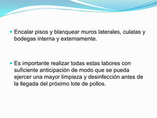  Encalar pisos y blanquear muros laterales, culatas y
bodegas interna y externamente.
 Es importante realizar todas estas labores con
suficiente anticipación de modo que se pueda
ejercer una mayor limpieza y desinfección antes de
la llegada del próximo lote de pollos.
 