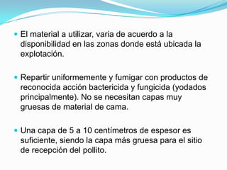  El material a utilizar, varia de acuerdo a la
disponibilidad en las zonas donde está ubicada la
explotación.
 Repartir uniformemente y fumigar con productos de
reconocida acción bactericida y fungicida (yodados
principalmente). No se necesitan capas muy
gruesas de material de cama.
 Una capa de 5 a 10 centímetros de espesor es
suficiente, siendo la capa más gruesa para el sitio
de recepción del pollito.
 