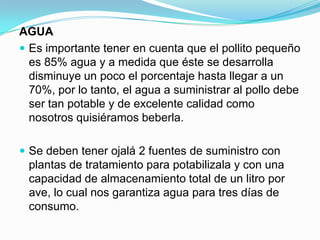 AGUA
 Es importante tener en cuenta que el pollito pequeño
es 85% agua y a medida que éste se desarrolla
disminuye un poco el porcentaje hasta llegar a un
70%, por lo tanto, el agua a suministrar al pollo debe
ser tan potable y de excelente calidad como
nosotros quisiéramos beberla.
 Se deben tener ojalá 2 fuentes de suministro con
plantas de tratamiento para potabilizala y con una
capacidad de almacenamiento total de un litro por
ave, lo cual nos garantiza agua para tres días de
consumo.
 
