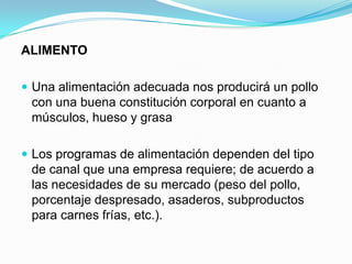 ALIMENTO
 Una alimentación adecuada nos producirá un pollo
con una buena constitución corporal en cuanto a
músculos, hueso y grasa
 Los programas de alimentación dependen del tipo
de canal que una empresa requiere; de acuerdo a
las necesidades de su mercado (peso del pollo,
porcentaje despresado, asaderos, subproductos
para carnes frías, etc.).
 