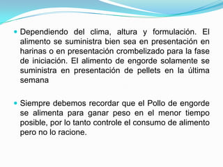  Dependiendo del clima, altura y formulación. El
alimento se suministra bien sea en presentación en
harinas o en presentación crombelizado para la fase
de iniciación. El alimento de engorde solamente se
suministra en presentación de pellets en la última
semana
 Siempre debemos recordar que el Pollo de engorde
se alimenta para ganar peso en el menor tiempo
posible, por lo tanto controle el consumo de alimento
pero no lo racione.
 