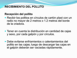 RECIBIMIENTO DEL POLLITO
Recepción del pollito
 Recibir los pollitos en círculos de cartón plast con un
radio no mayor de 2 metros o 1.2 metros del borde
de la criadora.
 Tener en cuenta la distribución en cantidad de cajas
y sexo, por cada galpón y por círculos.
 Debe evitarse enfriamientos o calentamientos del
pollito en las cajas; luego de descargar las cajas en
el galpón deberán ser vaciadas rápidamente.
 