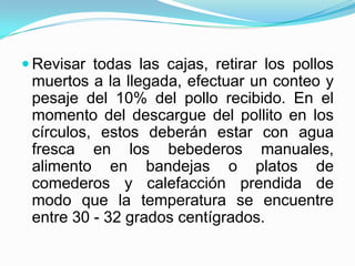  Revisar todas las cajas, retirar los pollos
muertos a la llegada, efectuar un conteo y
pesaje del 10% del pollo recibido. En el
momento del descargue del pollito en los
círculos, estos deberán estar con agua
fresca en los bebederos manuales,
alimento en bandejas o platos de
comederos y calefacción prendida de
modo que la temperatura se encuentre
entre 30 - 32 grados centígrados.
 