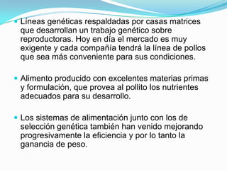  Líneas genéticas respaldadas por casas matrices
que desarrollan un trabajo genético sobre
reproductoras. Hoy en día el mercado es muy
exigente y cada compañía tendrá la línea de pollos
que sea más conveniente para sus condiciones.
 Alimento producido con excelentes materias primas
y formulación, que provea al pollito los nutrientes
adecuados para su desarrollo.
 Los sistemas de alimentación junto con los de
selección genética también han venido mejorando
progresivamente la eficiencia y por lo tanto la
ganancia de peso.
 