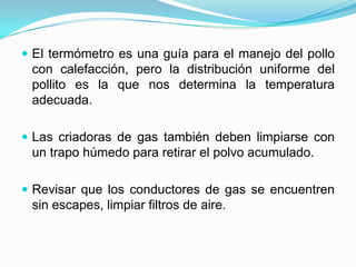  El termómetro es una guía para el manejo del pollo
con calefacción, pero la distribución uniforme del
pollito es la que nos determina la temperatura
adecuada.
 Las criadoras de gas también deben limpiarse con
un trapo húmedo para retirar el polvo acumulado.
 Revisar que los conductores de gas se encuentren
sin escapes, limpiar filtros de aire.
 
