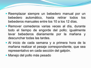  Reemplazar siempre un bebedero manual por un
bebedero automático, hasta retirar todos los
bebederos manuales entre los 10 a los 12 días.
 Remover comederos varias veces al día, durante
todo el tiempo de engorde del pollo; igualmente
lavar bebederos diariamente por la mañana y
descunchar todas las tardes.
 Al inicio de cada semana y a primera hora de la
mañana realizar el pesaje correspondiente, que sea
representativo en cada sección del galpón.
 Manejo del pollo más pesado
 