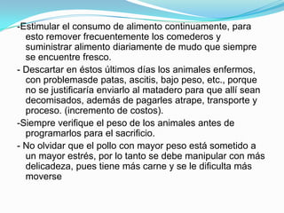 -Estimular el consumo de alimento continuamente, para
esto remover frecuentemente los comederos y
suministrar alimento diariamente de mudo que siempre
se encuentre fresco.
- Descartar en éstos últimos días los animales enfermos,
con problemasde patas, ascitis, bajo peso, etc., porque
no se justificaría enviarlo al matadero para que allí sean
decomisados, además de pagarles atrape, transporte y
proceso. (incremento de costos).
-Siempre verifique el peso de los animales antes de
programarlos para el sacrificio.
- No olvidar que el pollo con mayor peso está sometido a
un mayor estrés, por lo tanto se debe manipular con más
delicadeza, pues tiene más carne y se le dificulta más
moverse
 