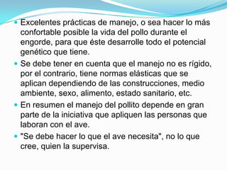  Excelentes prácticas de manejo, o sea hacer lo más
confortable posible la vida del pollo durante el
engorde, para que éste desarrolle todo el potencial
genético que tiene.
 Se debe tener en cuenta que el manejo no es rígido,
por el contrario, tiene normas elásticas que se
aplican dependiendo de las construcciones, medio
ambiente, sexo, alimento, estado sanitario, etc.
 En resumen el manejo del pollito depende en gran
parte de la iniciativa que apliquen las personas que
laboran con el ave.
 "Se debe hacer lo que el ave necesita", no lo que
cree, quien la supervisa.
 