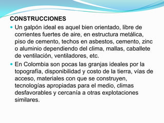 CONSTRUCCIONES
 Un galpón ideal es aquel bien orientado, libre de
corrientes fuertes de aire, en estructura metálica,
piso de cemento, techos en asbestos, cemento, zinc
o aluminio dependiendo del clima, mallas, caballete
de ventilación, ventiladores, etc.
 En Colombia son pocas las granjas ideales por la
topografía, disponibilidad y costo de la tierra, vías de
acceso, materiales con que se construyen,
tecnologías apropiadas para el medio, climas
desfavorables y cercanía a otras explotaciones
similares.
 