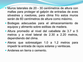  Muros laterales de 20 - 30 centímetros de altura con
mallas para proteger el galpón de entradas de aves
silvestres y roedores, para clima frío estos muros
serán de 60 centímetros de altura como máximo.
 Bodegas adecuadas para el almacenamiento de
equipos y alimento sobre estibas de madera.
 Altura promedio al nivel del caballete de 3.7 a 5
metros y a nivel lateral de 2.30 a 2.20 metros,
dependiendo del clima.
 Aleros que sobresalgan 1.0 a 1.2 metros para
impedir la entrada de rayos solares y ventiscas.
 Andenes en tierra o cemento.
 