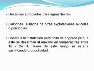  Desagües apropiados para aguas lluvias.
 Galpones aislados de otras explotaciones avícolas
o porcícolas.
 Construir la instalación para pollo de engorde ya que
este se desarrolla al máximo en temperaturas entre
18 - 24 0C; fuera de este rango se estaría
sacrificando productividad.
 