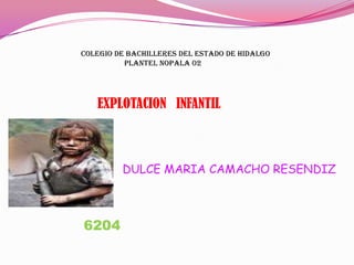 COLEGIO DE BACHILLERES DEL ESTADO DE HIDALGO                                 PLANTEL NOPALA 02 EXPLOTACION   INFANTIL DULCE MARIA CAMACHO RESENDIZ 6204 