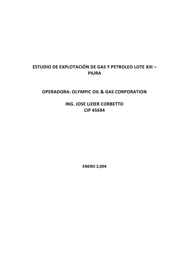 Jose Lizier Corbetto Estudio de Explotación de Gas y Petróleo Lote