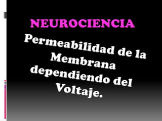 NEUROCIENCIA  Permeabilidad de la Membrana dependiendo del Voltaje.  