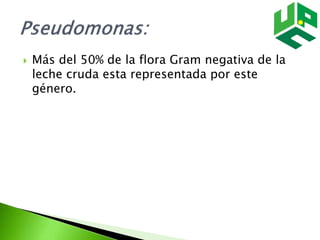  Más del 50% de la flora Gram negativa de la
leche cruda esta representada por este
género.
 