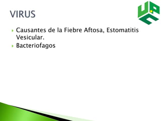  Causantes de la Fiebre Aftosa, Estomatitis
Vesicular.
 Bacteriofagos
 