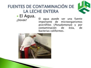 El agua puede ser una fuente
importante de microorganismos
psicrófilos (Pseudomonas) y por
contaminación de ésta, de
bacterias coliformes.
FUENTES DE CONTAMINACIÓN DE
LA LECHE ENTERA
 El Agua.
¿Dónde?
 