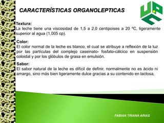 FABIAN TRIANA ARIAS
CARACTERÍSTICAS ORGANOLEPTICAS
Textura:
La leche tiene una viscosidad de 1,5 a 2,0 centipoises a 20 ºC, ligeramente
superior al agua (1,005 cp).
Color:
El color normal de la leche es blanco, el cual se atribuye a reflexión de la luz
por las partículas del complejo caseinato- fosfato-cálcico en suspensión
coloidal y por los glóbulos de grasa en emulsión.
Sabor:
El sabor natural de la leche es difícil de definir, normalmente no es ácido ni
amargo, sino más bien ligeramente dulce gracias a su contenido en lactosa.
 