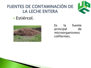 FUENTES DE CONTAMINACIÓN DE
LA LECHE ENTERA
 Estiércol.
Es la fuente
principal de
microorganismos
coliformes.
 