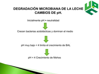 DEGRADACIÓN MICROBIANA DE LA LECHE
CAMBIOS DE pH.
Inicialmente pH ≈ neutralidad
Crecen bacterias acidolácticas y dominan el medio
pH muy bajo < 4 limita el crecimiento de BAL
pH < 4 Crecimiento de Mohos
 