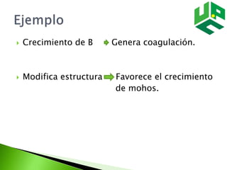  Crecimiento de B Genera coagulación.
 Modifica estructura Favorece el crecimiento
de mohos.
 