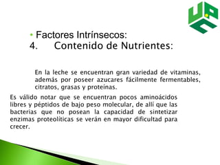 • Factores Intrínsecos:
4. Contenido de Nutrientes:
En la leche se encuentran gran variedad de vitaminas,
además por poseer azucares fácilmente fermentables,
citratos, grasas y proteínas.
Es válido notar que se encuentran pocos aminoácidos
libres y péptidos de bajo peso molecular, de allí que las
bacterias que no posean la capacidad de sintetizar
enzimas proteolíticas se verán en mayor dificultad para
crecer.
 