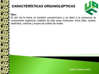 FABIAN TRIANA ARIAS
Olor:
El olor de la leche es también característico y se debe a la presencia de
compuestos orgánicos volátiles de bajo peso molecular, entre ellos, ácidos,
aldehídos, cetonas y trazas de sulfato de metilo.
CARACTERÍSTICAS ORGANOLEPTICAS
 