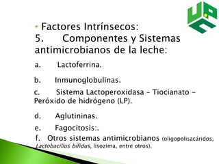 • Factores Intrínsecos:
5. Componentes y Sistemas
antimicrobianos de la leche:
a. Lactoferrina.
b. Inmunoglobulinas.
c. Sistema Lactoperoxidasa – Tiocianato -
Peróxido de hidrógeno (LP).
d. Aglutininas.
e. Fagocitosis:.
f. Otros sistemas antimicrobianos (oligopolisacáridos,
Lactobacillus bífidus, lisozima, entre otros).
 
