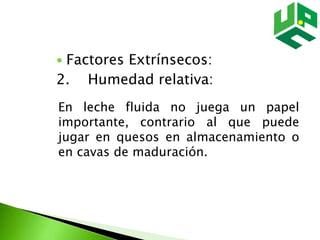  Factores Extrínsecos:
2. Humedad relativa:
En leche fluida no juega un papel
importante, contrario al que puede
jugar en quesos en almacenamiento o
en cavas de maduración.
 