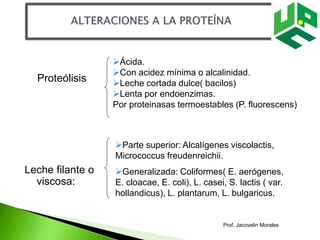 Ácida.
Con acidez mínima o alcalinidad.
Leche cortada dulce( bacilos)
Lenta por endoenzimas.
Por proteinasas termoestables (P. fluorescens)
Proteólisis
Leche filante o
viscosa:
Parte superior: Alcalígenes viscolactis,
Micrococcus freudenreichii.
Generalizada: Coliformes( E. aerógenes,
E. cloacae, E. coli), L. casei, S. lactis ( var.
hollandicus), L. plantarum, L. bulgaricus.
Prof. Jacovelin Morales
 
