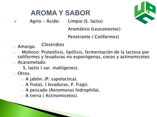 AROMA Y SABOR
 Agrio - Ácido: Limpio (S. lactis)
Aromático (Leuconostoc)
Penetrante ( Coliformes)
Clostridios Amargo.
 Mohoso: Proteólisis, lipólisis, fermentación de la lactosa por
coliformes y levaduras no esporógenas, cocos y actinomicetos
 Acaramelado.
S. lactis ( var. maltígenes).
 Otros.
 A jabón. (P. sapolactica).
 A frutas. ( levaduras, P. fragi).
 A pescado (Aeromonas hidrophila).
 A tierra ( Actinomicetos).
 