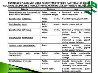 FUNCIONES Y ALGUNOS USOS DE CIERTAS ESPECIES BACTERIANAS COMO
CULTIVOS INICIADORES PARA LA FABRICACIÓN DE QUESO Y OTROS PRODUCTOS.
Especie Función uso
Propionibacterium freudenreichii
subespecies shermanii.
Sabor, aroma y
formación de ojos.
Emmental, suizo y ciertas
variedades afines.
Lactobacillus bulgaricus. Ácido, aroma,
sabor
Mazada búlgara, yogurt, kéfir.
Lactobacillus lactis. Ácido, aroma,
sabor.
Kumis, quesos suizos.
Lactobacillus helveticus. Ácido, aroma,
sabor.
Emmental y variedades afines,
ciertos tipos de quesos
italianos.
Lactobacillus acidophillus. Ácido. Leche acidófila, quesos
emmental y suizo, yogurt,
ciertos quesos italianos.
Streptococcus thermophillus. Ácido. Leche acidófila, quesos
emmental y suizo, yogurt,
ciertos quesos italianos.
Streptococcus lactis subsp.
diacetylactis.
Ácido, sabor,
aroma.
Crema ácida, mantequilla,
mazada fermentada, queso
Cottage.
Streptococcus cremoris. Ácido, sabor,
aroma.
Mazada fermentada, crema
ácida, queso Cottage, queso
Cheddar y otras variedades.
Leuconostoc cremoris. Aroma, sabor. Mazada fermentada, queso
Cottage, mantequilla.
 