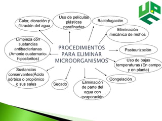 Calor, cloración y
filtración del agua
Uso de películas
plásticas
parafinadas
Bactofugación
Eliminación
mecánica de mohos
Pasteurización
Uso de bajas
temperaturas (En campo
y en planta)
Congelación
Eliminación
de parte del
agua con
evaporación
Secado
Sustancias
conservantes(Ácido
sórbico o propiónico
o sus sales
Limpieza con
sustancias
antibacterianas
(Amonio cuaternario-
hipocloritos)
 