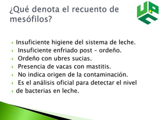  Insuficiente higiene del sistema de leche.
 Insuficiente enfriado post – ordeño.
 Ordeño con ubres sucias.
 Presencia de vacas con mastitis.
 No indica origen de la contaminación.
 Es el análisis oficial para detectar el nivel
 de bacterias en leche.
 
