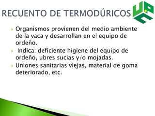  Organismos provienen del medio ambiente
de la vaca y desarrollan en el equipo de
ordeño.
 Indica: deficiente higiene del equipo de
ordeño, ubres sucias y/o mojadas.
 Uniones sanitarias viejas, material de goma
deteriorado, etc.
 