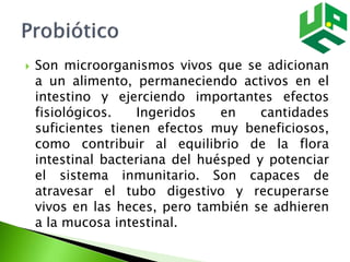  Son microorganismos vivos que se adicionan
a un alimento, permaneciendo activos en el
intestino y ejerciendo importantes efectos
fisiológicos. Ingeridos en cantidades
suficientes tienen efectos muy beneficiosos,
como contribuir al equilibrio de la flora
intestinal bacteriana del huésped y potenciar
el sistema inmunitario. Son capaces de
atravesar el tubo digestivo y recuperarse
vivos en las heces, pero también se adhieren
a la mucosa intestinal.
 