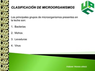 FABIAN TRIANA ARIAS
CLASIFICACIÓN DE MICROORGANISMOS
Los principales grupos de microorganismos presentes en
la leche son:
1. Bacterias
2. Mohos
3. Levaduras
4. Virus
 