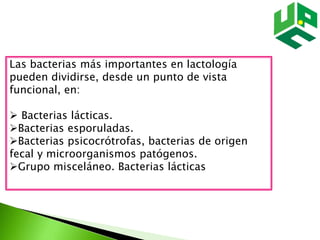 Las bacterias más importantes en lactología
pueden dividirse, desde un punto de vista
funcional, en:
 Bacterias lácticas.
Bacterias esporuladas.
Bacterias psicocrótrofas, bacterias de origen
fecal y microorganismos patógenos.
Grupo misceláneo. Bacterias lácticas
 