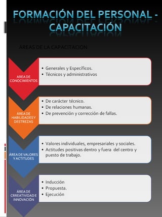 ÁREAS DE LA CAPACITACIÓN 