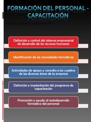ROL DEL ÁREA DE CAPACITACIÓN 