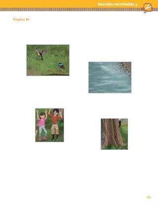 161
Página 46
Sección recortable 3
AB-EXPLORA-1-P-137-168.indd 161 13/03/13 13:20
 