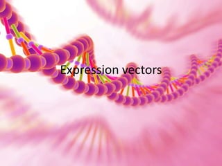 Expression vectors
 