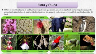 Flora y Fauna
 El Perú es considerado uno de los 17 países megadiversos que existen. Un país es clasificado como megadiverso cuando
presenta elevados índices de biodiversidad junto con un alto grado de endemismos es innegable la gran biodiversidad del
Perú.
 