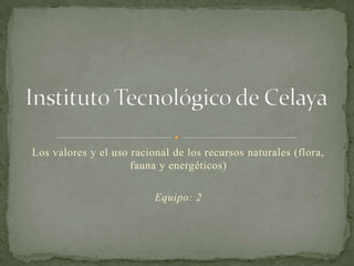Instituto Tecnológico de Celaya Los valores y el uso racional de los recursos naturales (flora, fauna y energéticos) Equipo: 2 