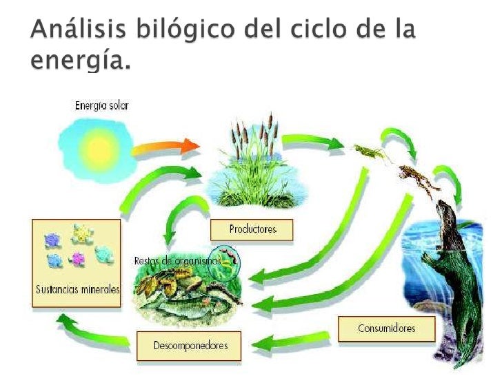 Ciclos de la naturaleza