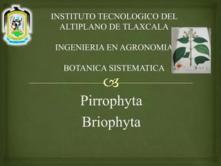 Pirrophyta
Briophyta
 