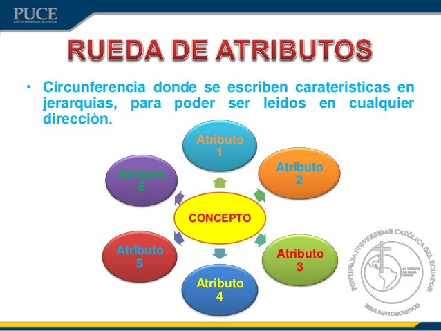 ORGANIZADORES GRÁFICOS