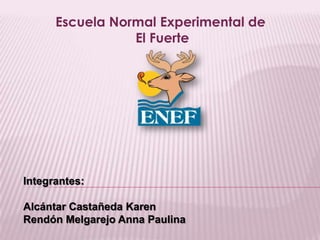 Escuela Normal Experimental de
El Fuerte
Integrantes:
Alcántar Castañeda Karen
Rendón Melgarejo Anna Paulina
 